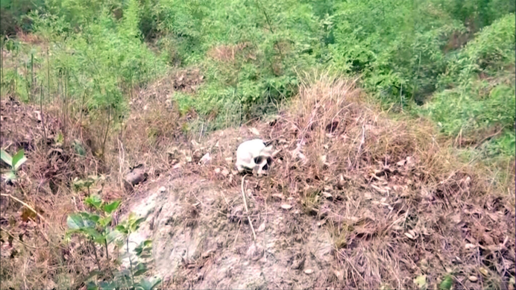 महाराष्ट्र के वर्धा से नवजातों के कंकाल बरामद - नाबालिग रेप पीड़िता के अबॉर्शन के बाद हुआ खुलासा