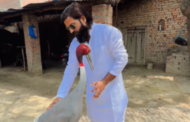 सारस पक्षी की जान बचाकर आरिफ की बढ़ी मुश्किलें ,उत्तर प्रदेश वन विभाग ने आरिफ पर दर्ज किया मुकदमा।