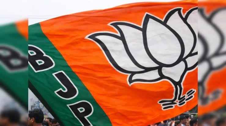 Nabin Kumar Nayak BJP Odisha Organisational Team Redrawn - ओडिशा भाजपा में बड़ा सांगठनिक फेरबदल - प्रदेश अध्यक्ष नवीन कुमार नायक ने नए सिरे से तैयार की टीम, पार्टी के राजनीतिक नक्शे में बड़ा बदलाव
