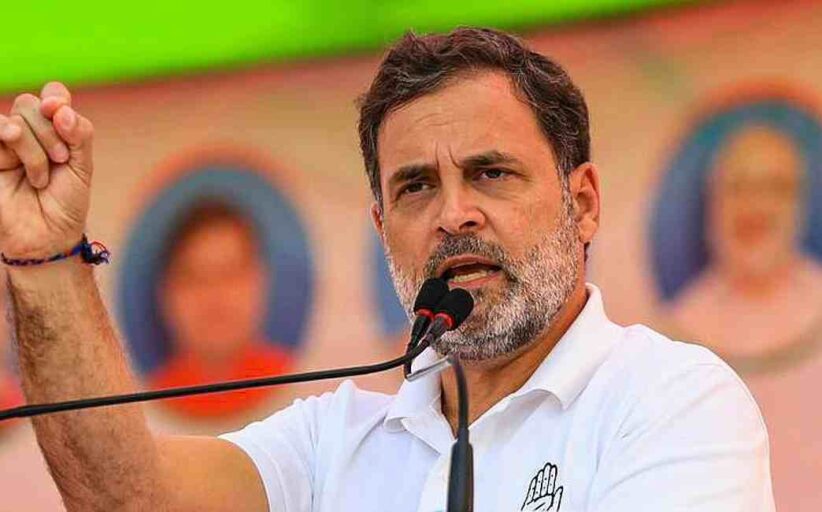 DUSU Polls Rahul Gandhi Upset NSUI Debacle Action In Charge - डूसू चुनाव में एनएसयूआई के सूपड़ा साफ होने से राहुल गांधी और कांग्रेस आलाकमान नाराज - संगठन प्रभारियों पर गिर सकती है गाज