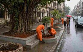BMC Revives Tree Basins Prabhadevi Road Mumbai - नागरिकों और पर्यावरण प्रेमियों की मांग पर हरकत में आया जी-उत्तर वार्ड प्रशासन कंक्रीटीकरण हटाकर पेड़ों की जड़ों को दिया जाएगा सांस लेने का दायरा।