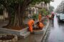 BMC Revives Tree Basins Prabhadevi Road Mumbai - नागरिकों और पर्यावरण प्रेमियों की मांग पर हरकत में आया जी-उत्तर वार्ड प्रशासन; कंक्रीटीकरण हटाकर पेड़ों की जड़ों को दिया जाएगा सांस लेने का दायरा।